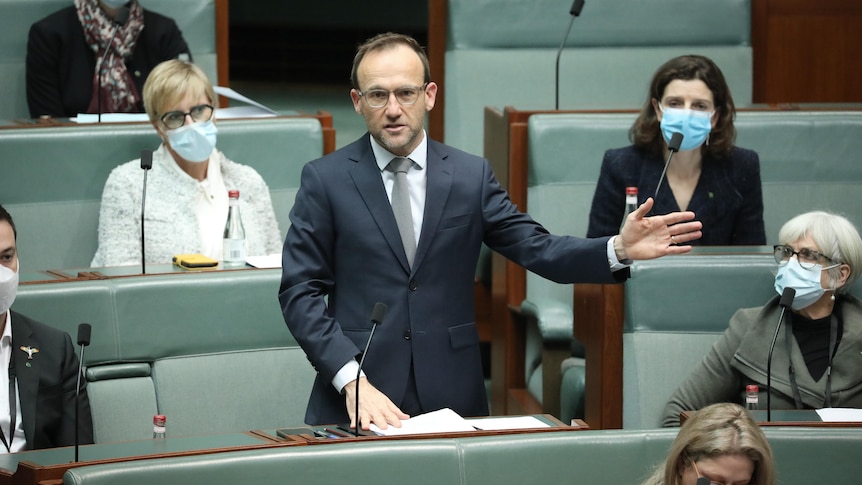 Adam Bandt holds out his arm while speaking in the House of Representatives 