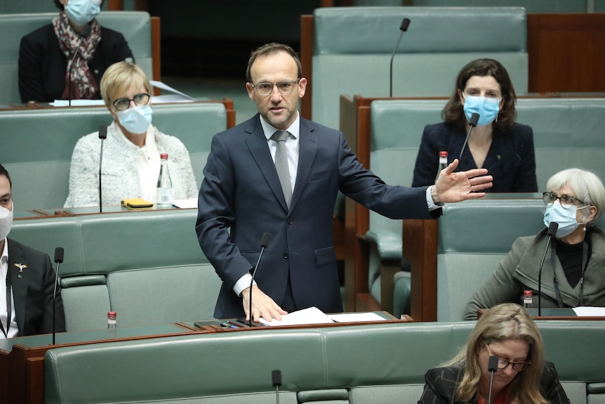 Adam Bandt holds out his arm while speaking in the House of Representatives 