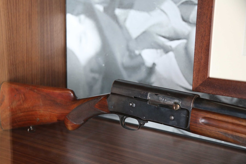 Gun in a cabinet.