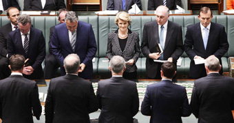 Chris Pyne, Joe Hockey, Julie Bishop, Warren Truss, Tony Abbott cabinet custom
