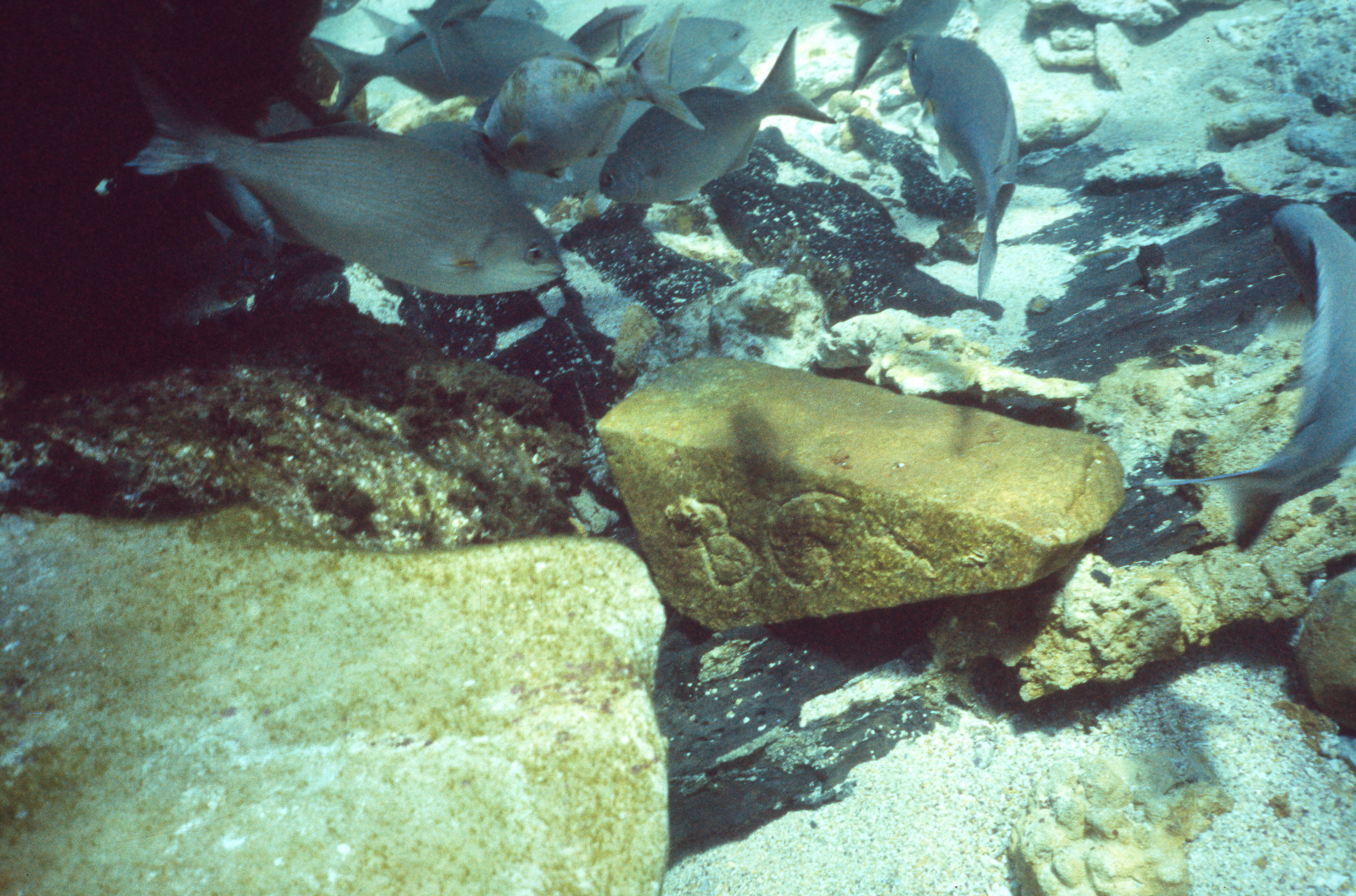 Infamous shipwreck cargo reveals 400-year-old global trade secrets
