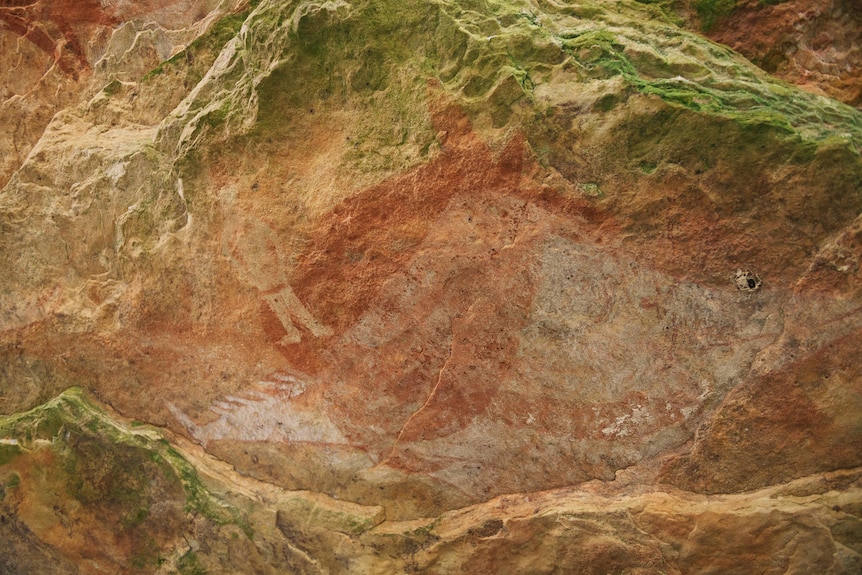 Aboriginal rock art of a man, turtle and fish found in a cave on Marchinbar Island.