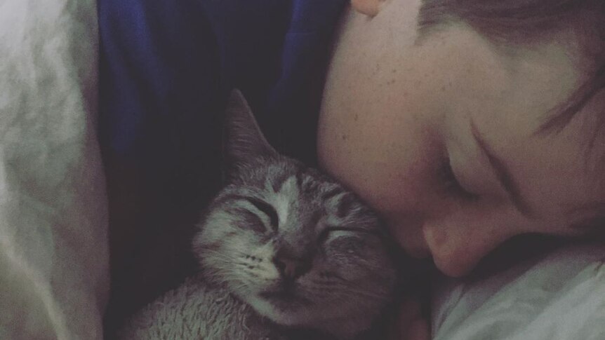 A boy snuggles asleep with a cat