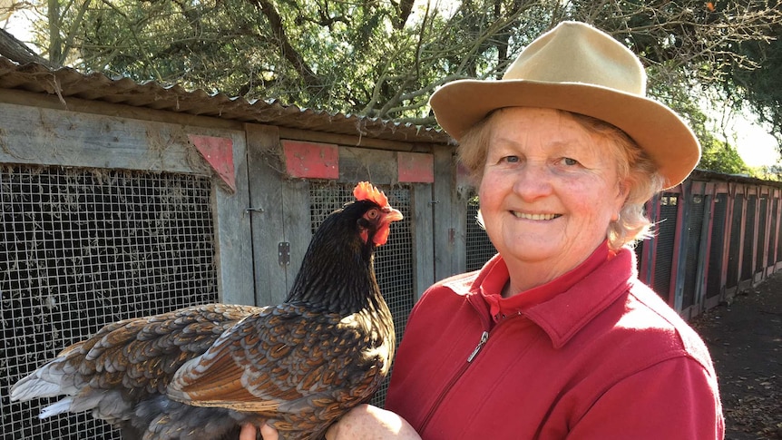 Poultry breeder Val Bragg holds one of her prized chooks.