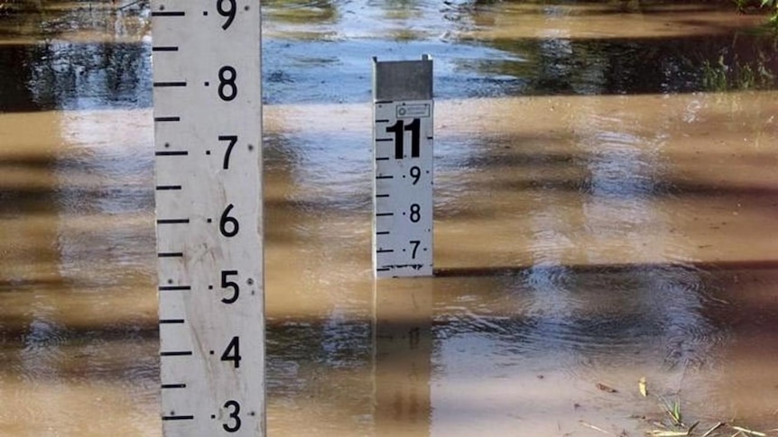 Flood markers in Goondiwindi's swollen Macintyre River on January 14, 2011.