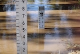 Flood markers in Goondiwindi's swollen Macintyre River on January 14, 2011.