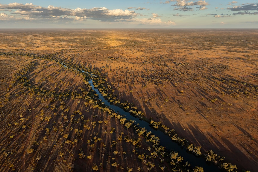 A creek running through a dry and mostly arid landscape in far west NSW. 