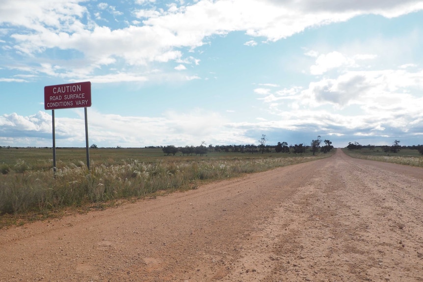 an unsealed road runs through pasture with blue cloudy skies