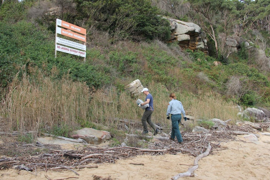 Two people walk up rocky terrain with a sign in the background which reads Lion Island Nature Reserve: No landing without permit