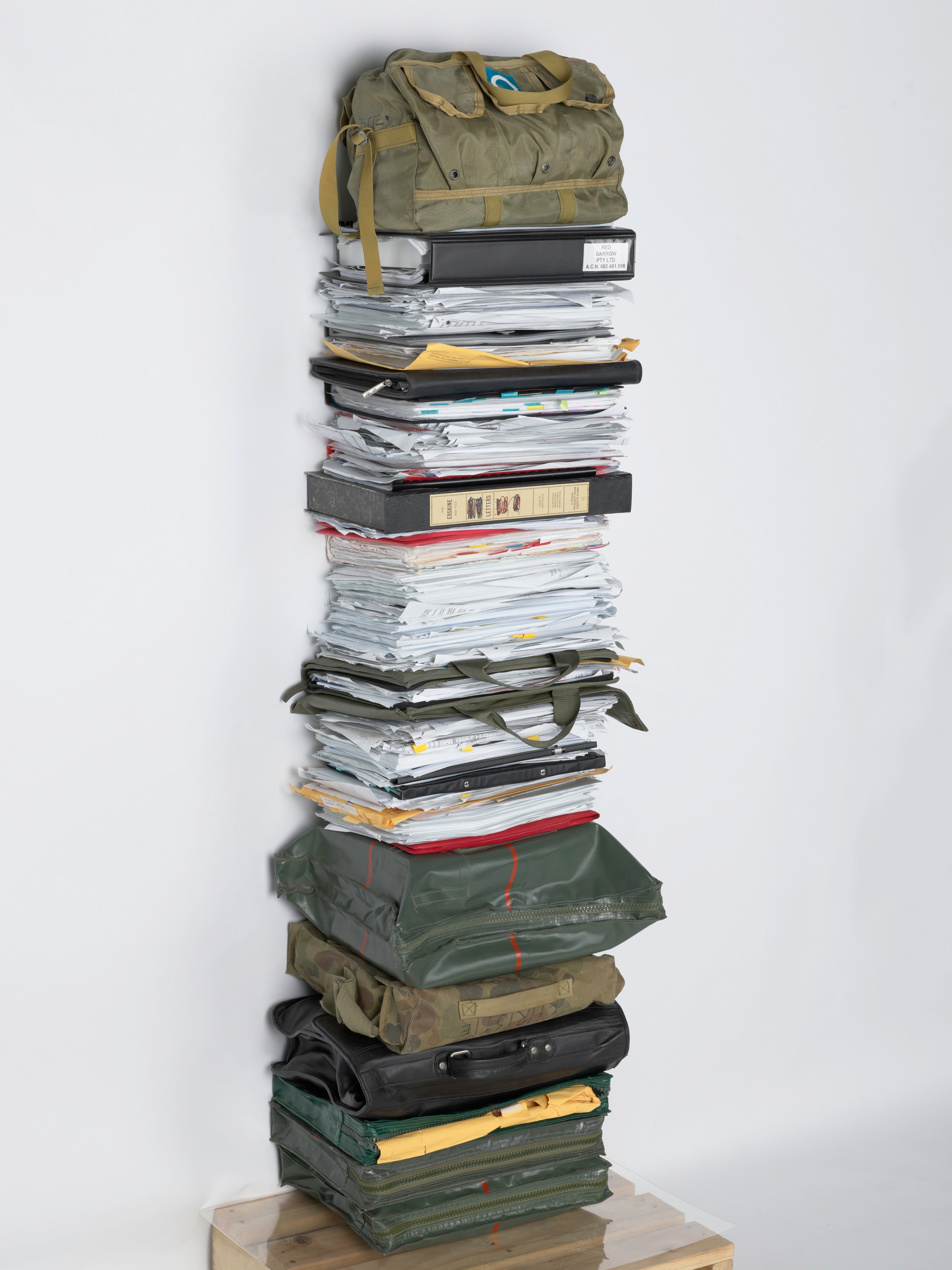 Kat Rae wins 2024 Napier Waller Art Prize for 'Deathmin' following the