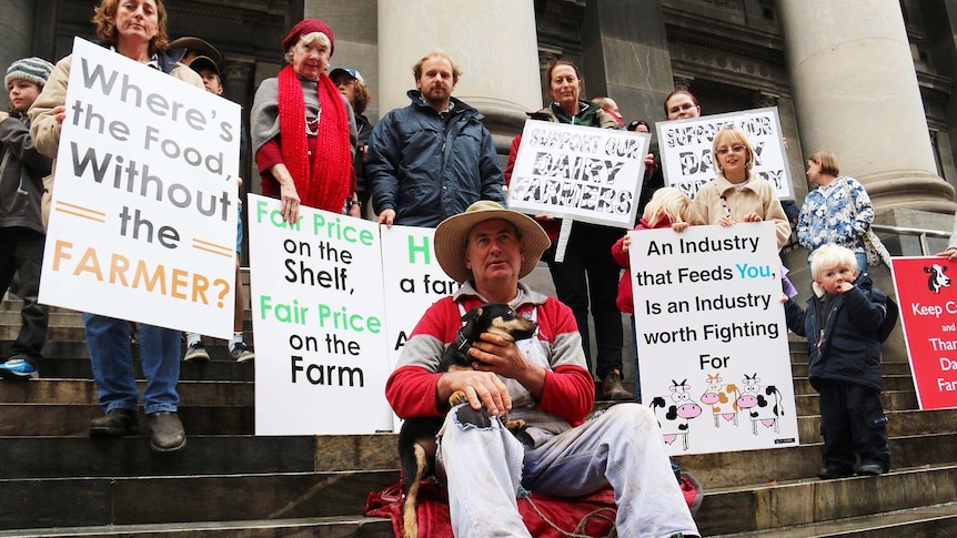 A dozen protestors holding banners supporting dairy farmers on the steps of South Australia's Parliament House in Adelaide