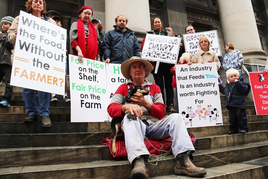 A dozen protestors holding banners supporting dairy farmers on the steps of South Australia's Parliament House in Adelaide
