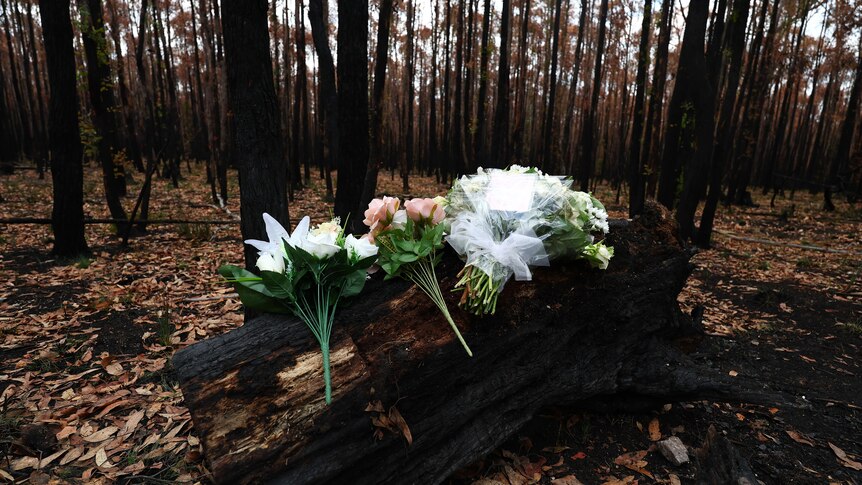 A floral tribute at the scene for Hannah McGuire at the site where her remains were found. 