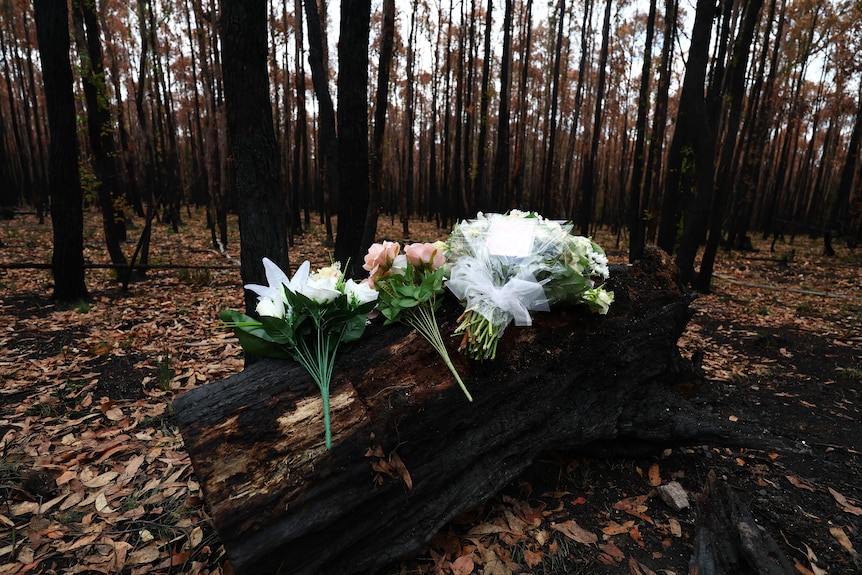 A floral tribute at the scene for Hannah McGuire at the site where her remains were found. 