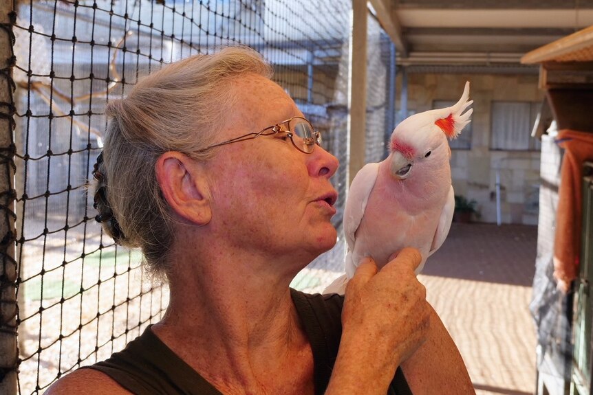 Middle aged woman with a Major Mitchell cockatoo.