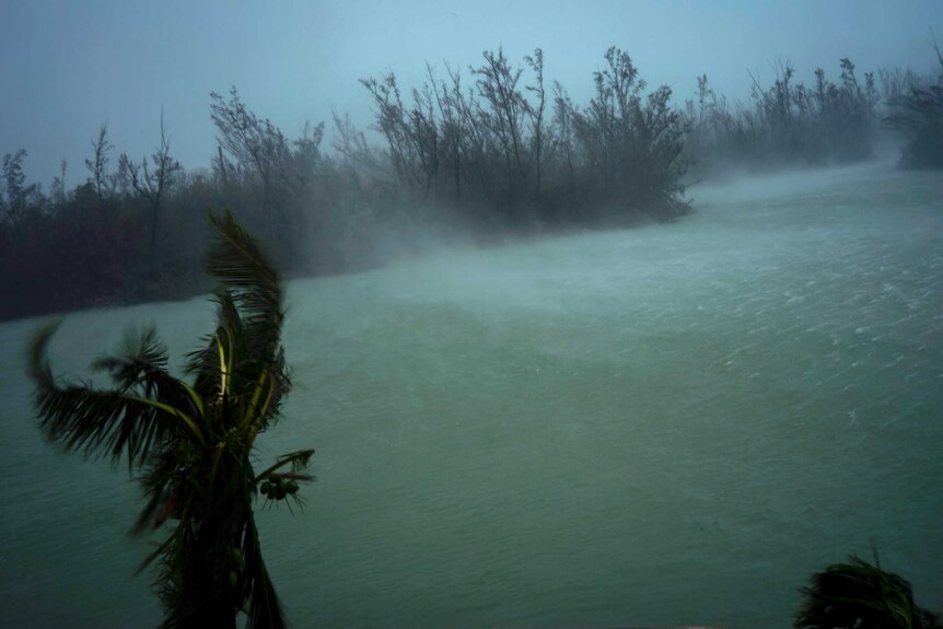 Strong winds from Hurricane Dorian blow the tops of trees and whisks up water from the surface of a canal.