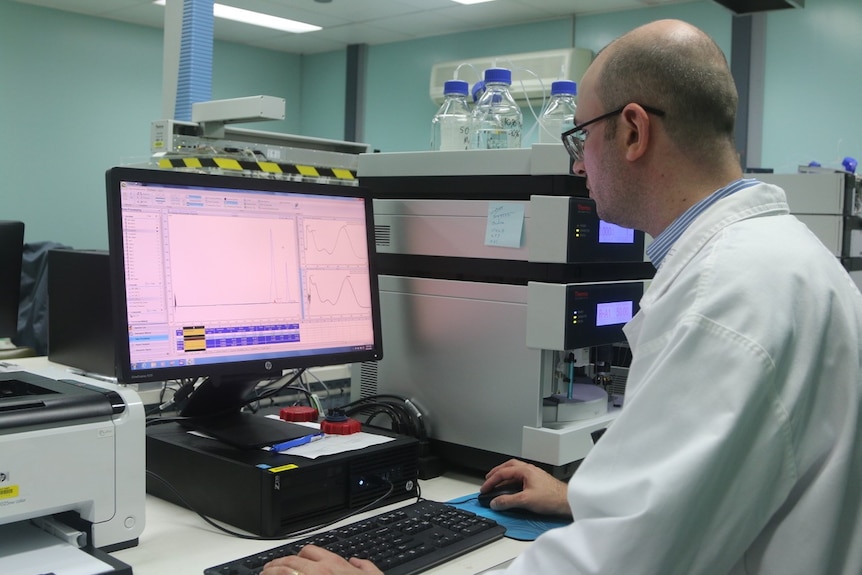 Food chemist Hans Yates looks at data on a computer.