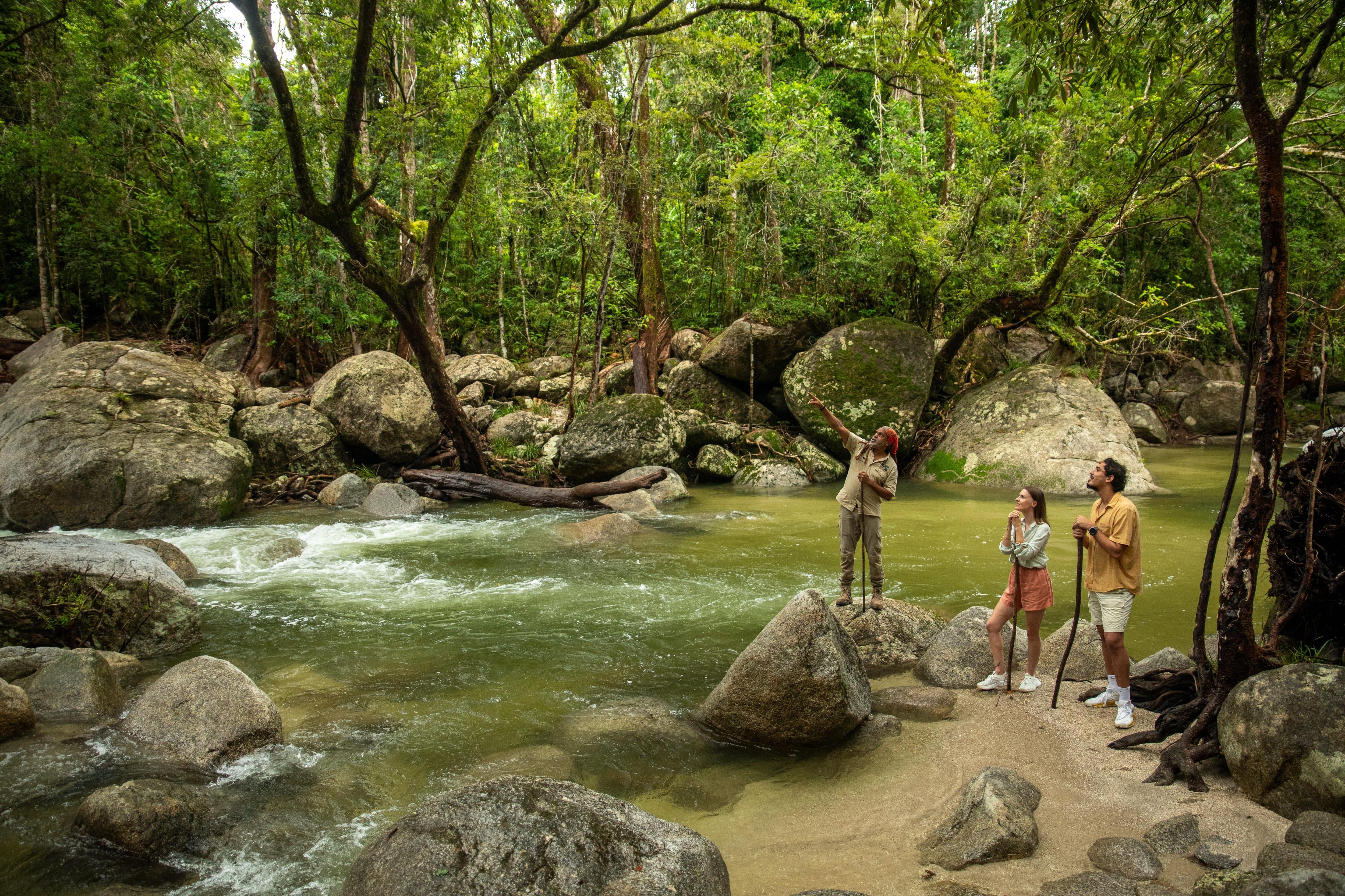 People looking at trees while standing in a river 