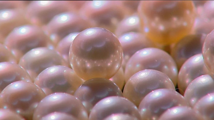 Pearls in close up