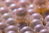 Good generic of pearls close up