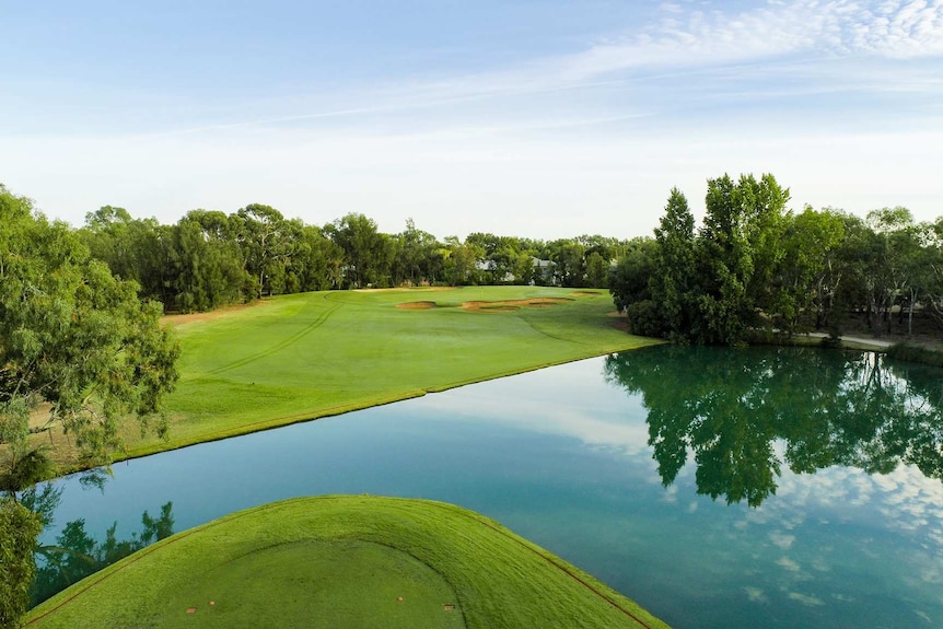 Pond surrounding by green golf course