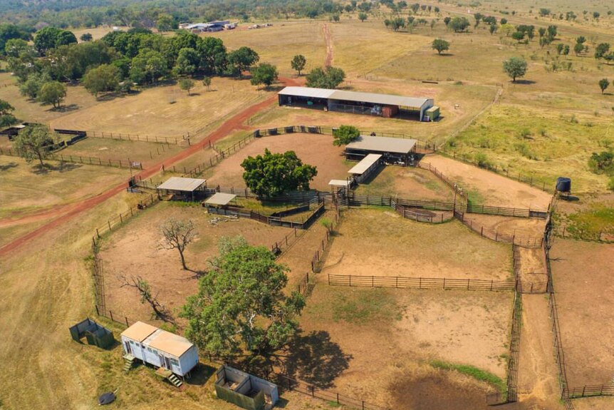 An aerial shot of a set of cattle yards on a station.