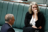 O'Neil has a concerned expression, hand to mouth, while she looks towards Albanese.