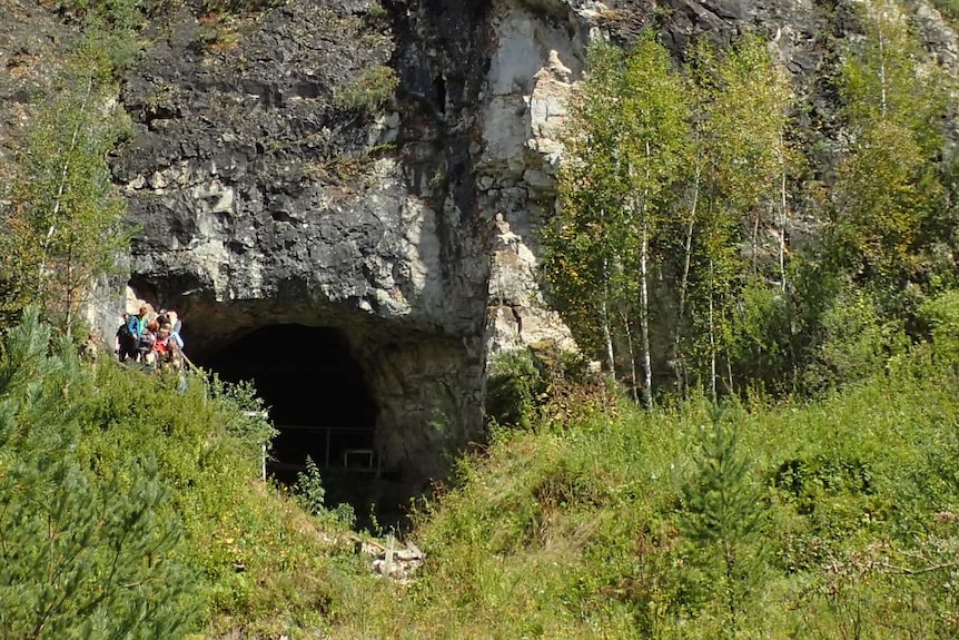 The mouth of a cave in the side of a tree-covered hill