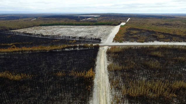 Aerial view of pine plantations destroyed by the Waroona bushfire in Western Australia.