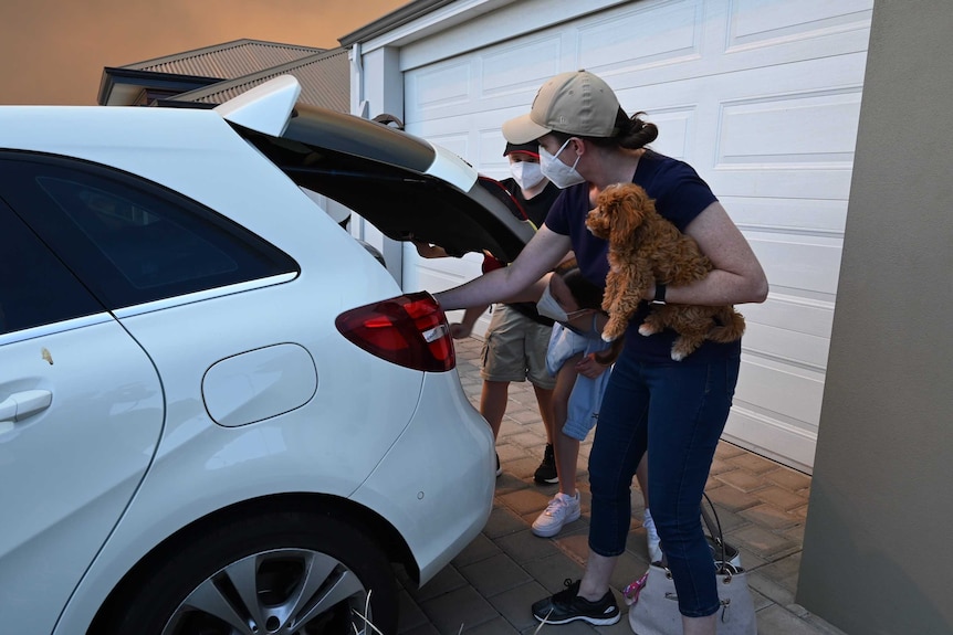 A woman holds a small dog as she packs a car with a man. They are both wearing masks.