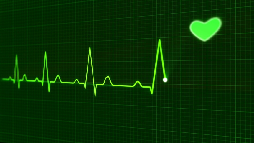 Lines on a heart monitor