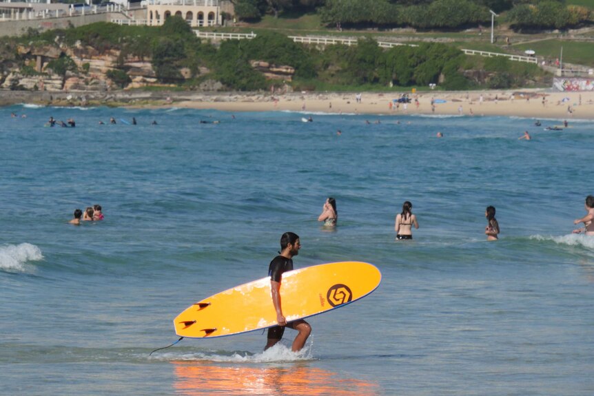 A surfer carries a yellow surfboard out of the water in front of swimmers at Bondi Beach.