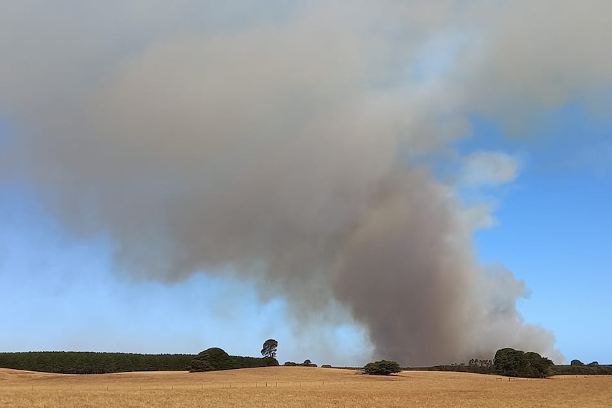 Brown and dark grey smoke rising from a plantation
