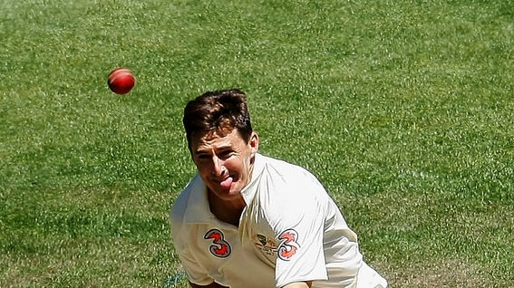 Australian leg spinner Brad Hogg bowls during day two of the first Test