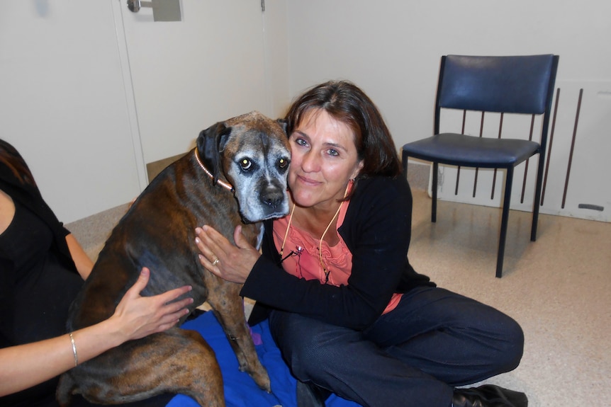 a woman sits on the floor of a clinic holding an old dog