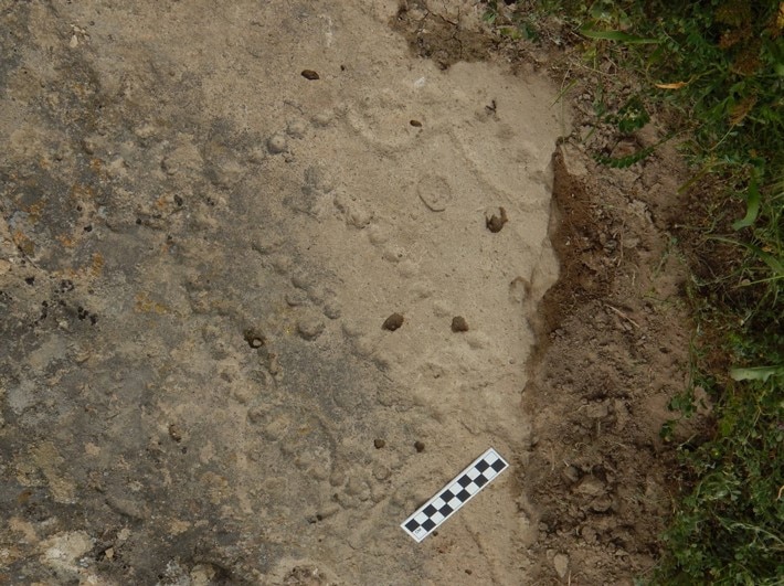 A series of circular markings etched in a pattern on a rocky ground surface.