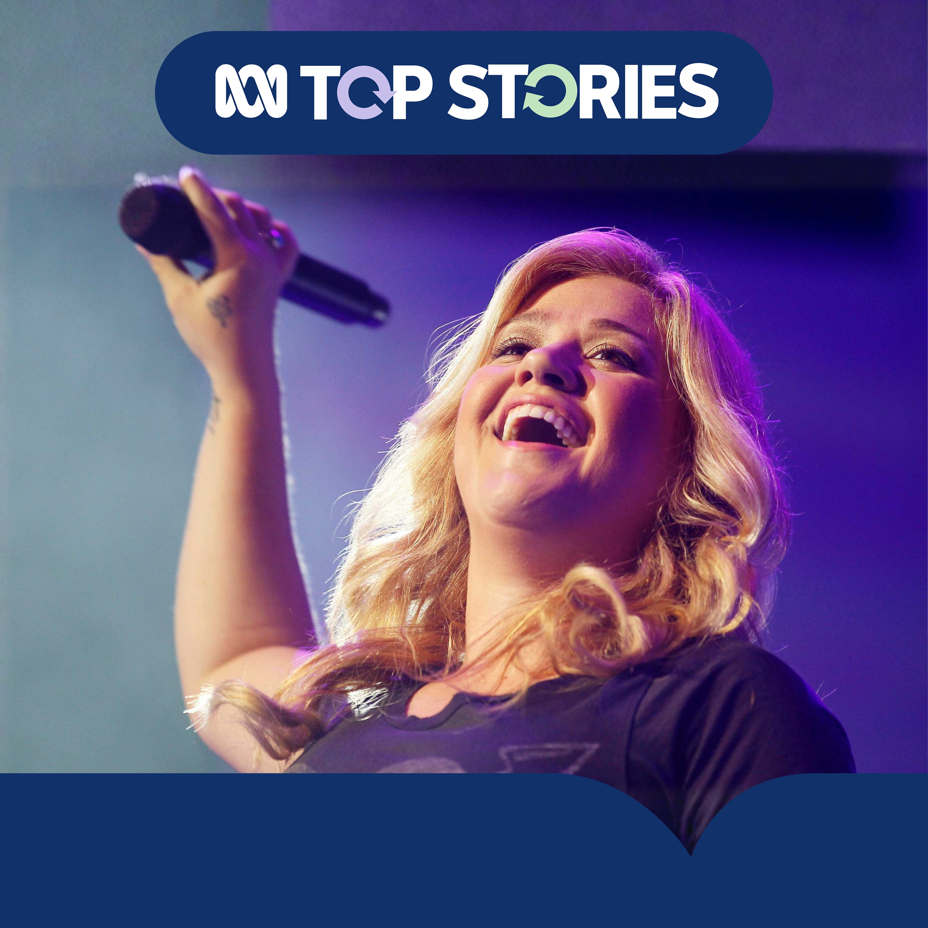 Who's in the wrong amid the Kelly Clarkson bird dispute?