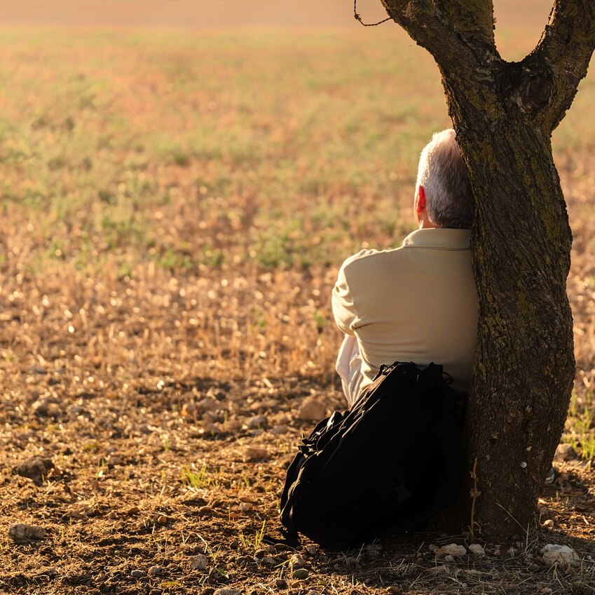 A man sits on the grass, leans against a tree and looks into the distance.