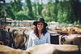A woman with a broad-brim hat smiles as the camera surrounded by jersey cattle