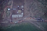 an aerial view of cattle in yards being loaded onto trucks