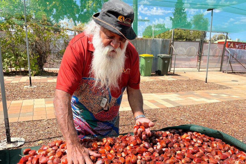 A man puts his hands in large bin of red pods.