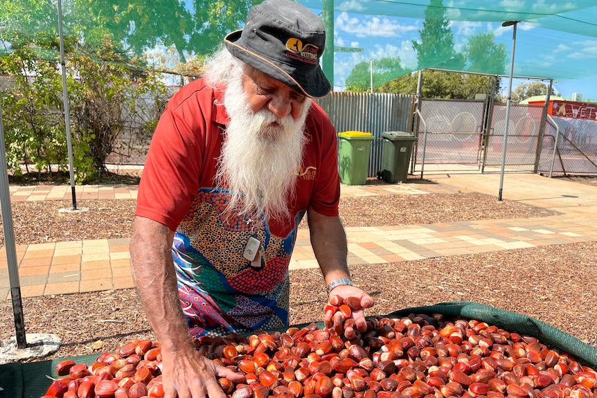 A man puts his hands in large bin of red pods.
