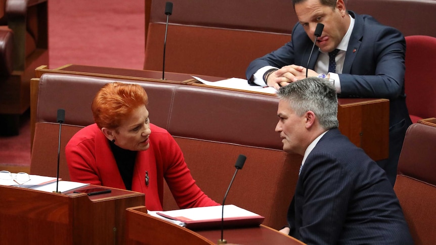 A woman and man deep in conversation inside the Senate. A man, with his tongue sticking out, listens on in the row behind them.