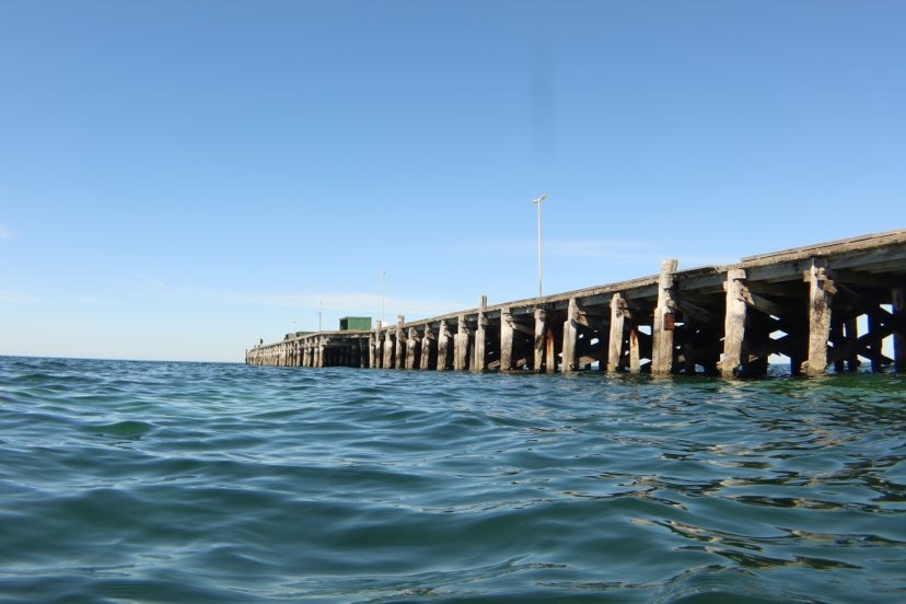 A picture of the jetty taken from the water 