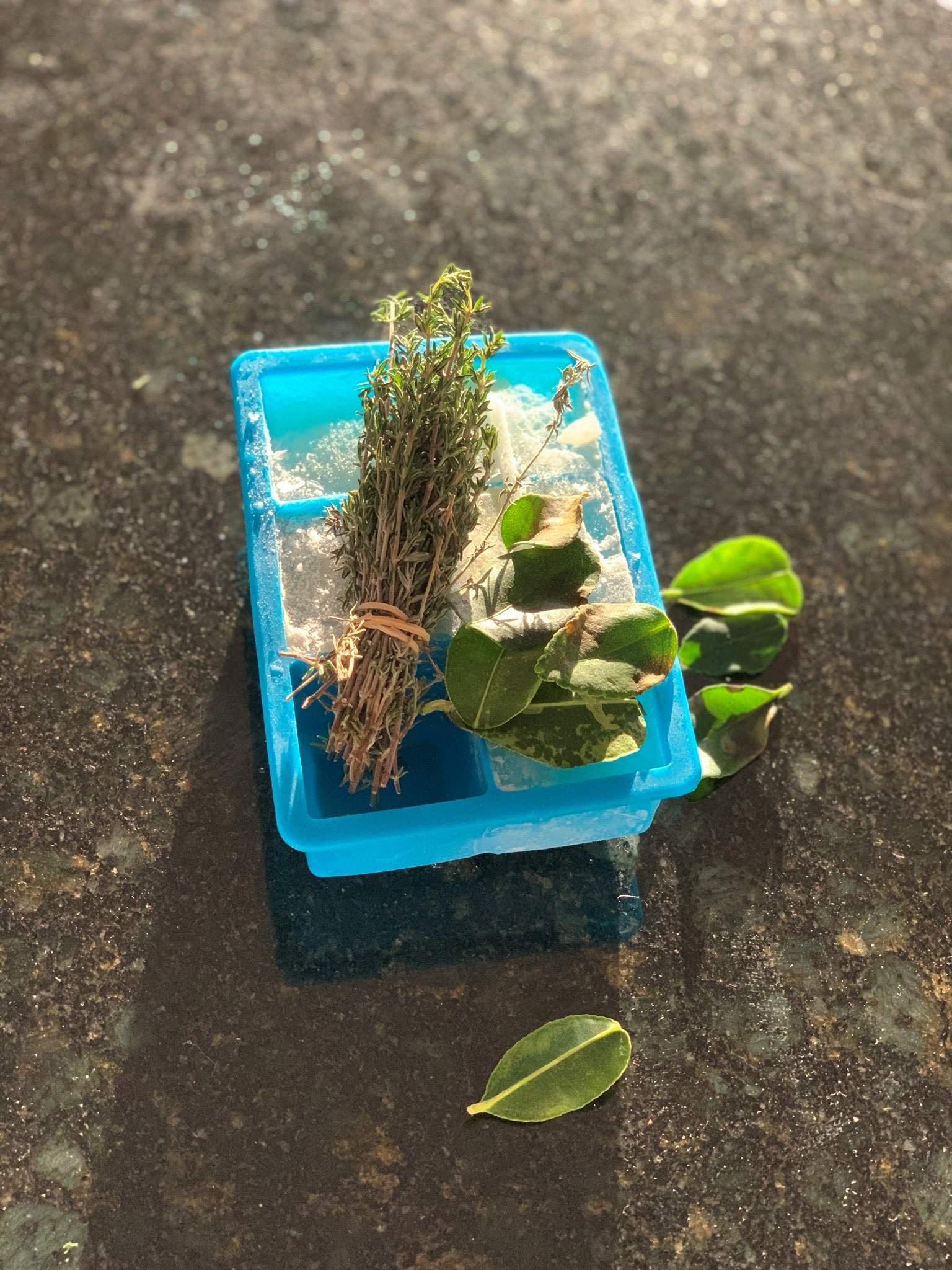 Snap freeze fresh fruit and vegetables to make them last longer and