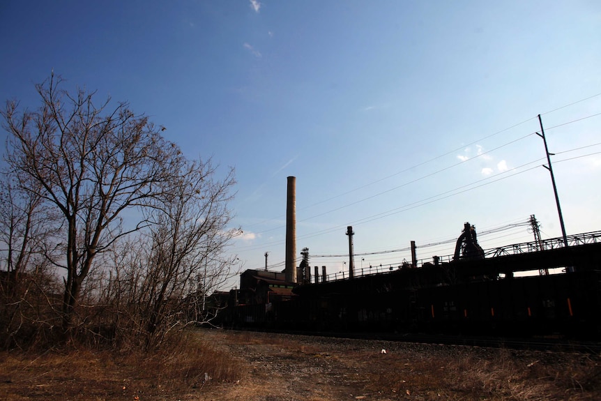 A wide view shows bush and grassland with a steel mill in the background.