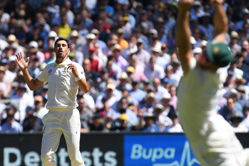 Mitchell Starc grimaces at a half-chance gone begging