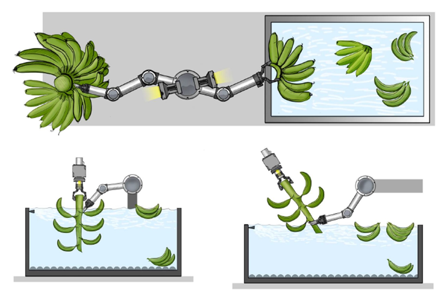 Artists impression of what a robot arm banana de-hander would look like