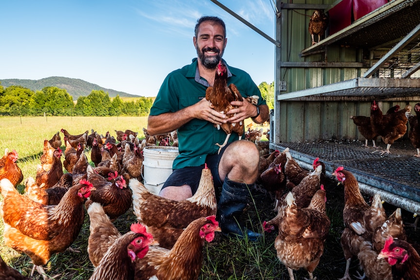 A male farmer wearing a green shirt holds a brown chicken surrounded by other chickens.