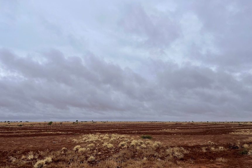 A shot of open land and sky shows part of Brook McGlinchey's station